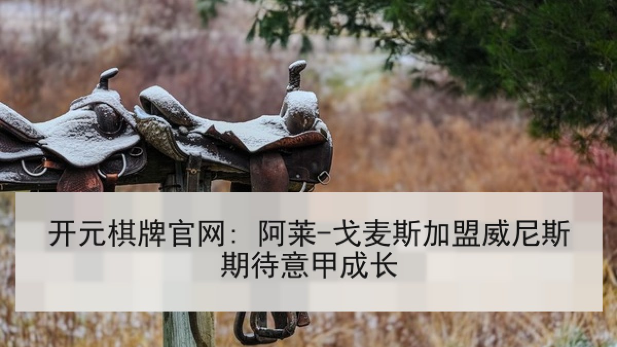 开元棋牌官网: 阿莱-戈麦斯加盟威尼斯期待意甲成长