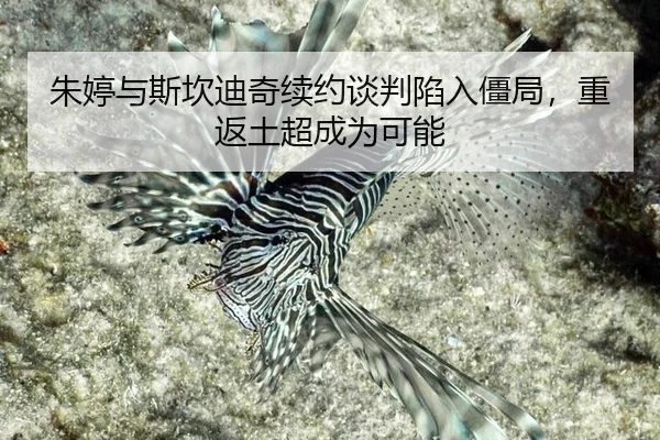zhu-ting-yu-si-kan-di-qi-xu-yue-tan-pan-xian-ru-jiang-ju-chong-fan-tu-chao-cheng-wei-ke-neng-3-357.jpg