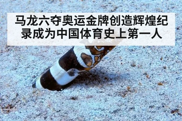 马龙六夺奥运金牌创造辉煌纪录成为中国体育史上第一人